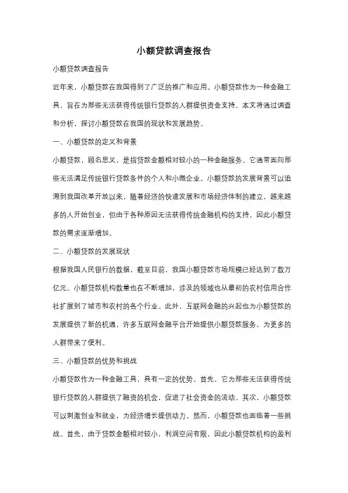 小额贷款调查报告