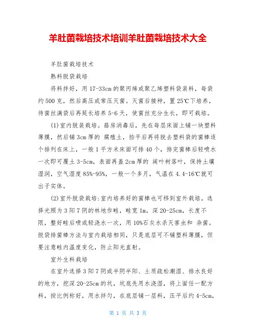 羊肚菌栽培技术培训羊肚菌栽培技术大全