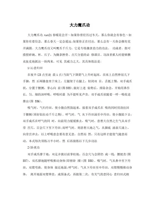 大力鹰爪功