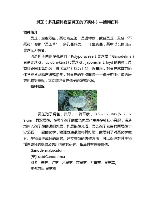 灵芝（多孔菌科真菌灵芝的子实体）—搜狗百科
