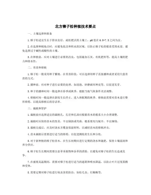 北方樟子松种植技术要点