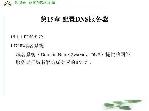 《配置DNS服务器》PPT课件