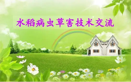 水稻主要病虫草害资料