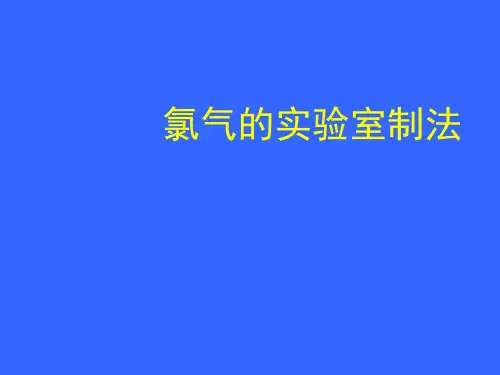 人教课标版高中化学必修一《氯气的化学性质》PPT课件