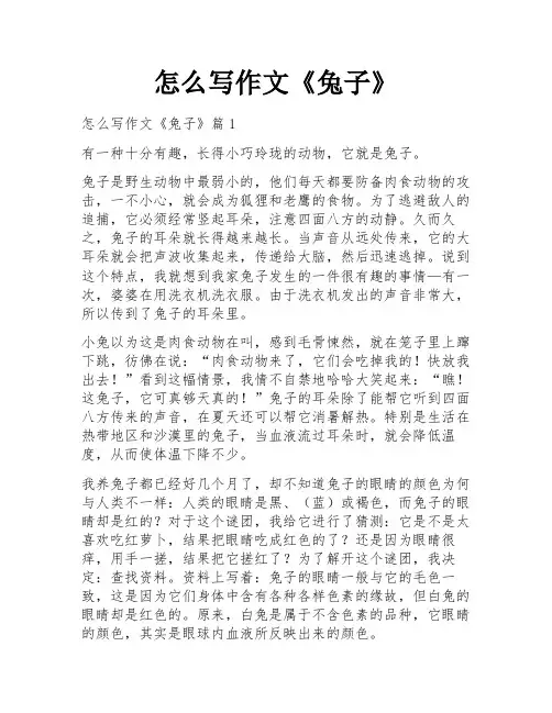怎么写作文《兔子》