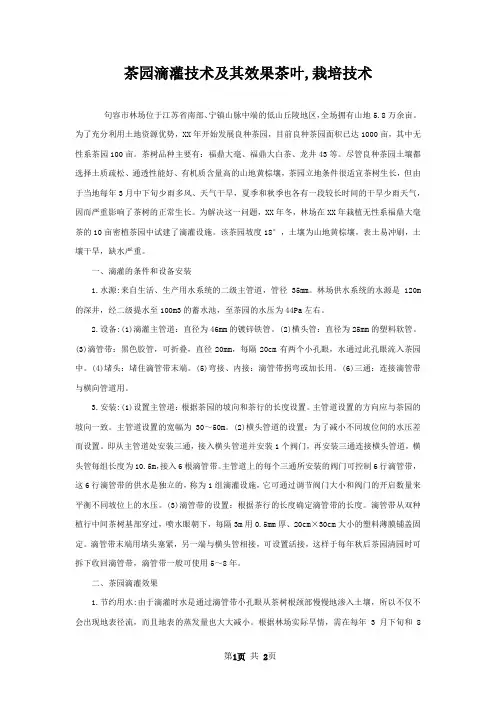 茶园滴灌技术及其效果茶叶,栽培技术