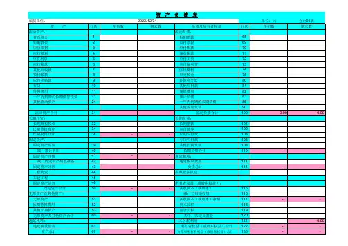 资产负债表全套(实用模板)