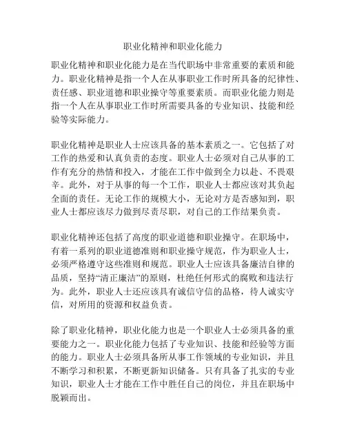 职业化精神和职业化能力