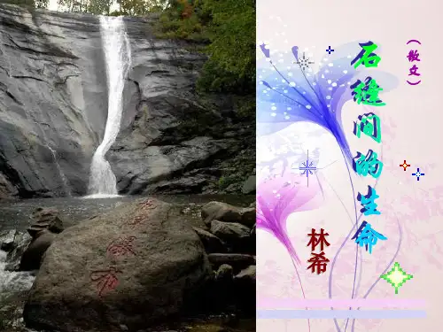 石缝间的生命PPT教学课件