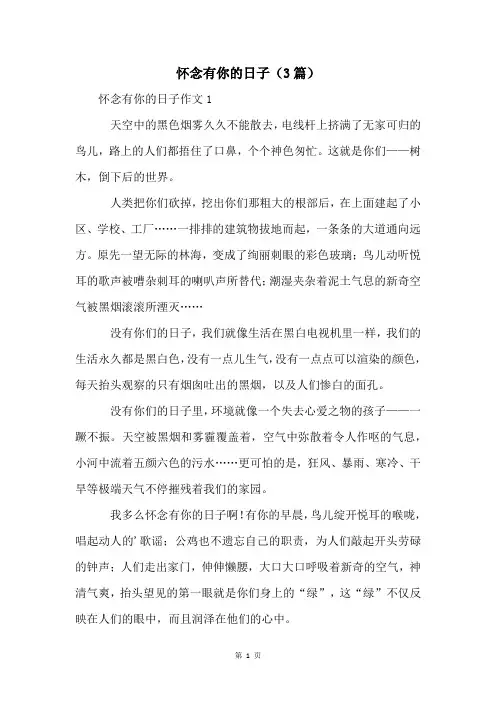 怀念有你的日子(3篇)