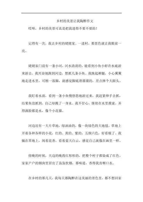乡村的美景让我陶醉作文