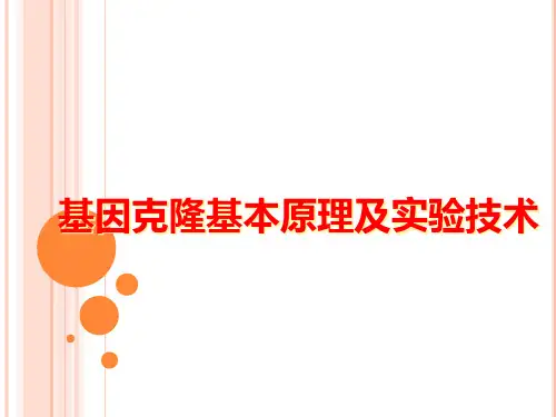 分子生物学：基因克隆及克隆基因的表达