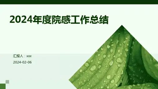 2024年度院感工作总结PPT课件