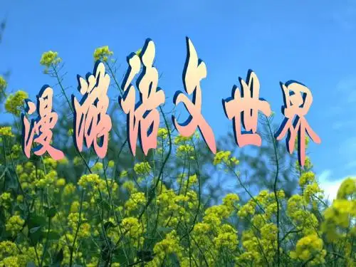 初中语文《综合性学习：漫游语文世界》(共25张)ppt26