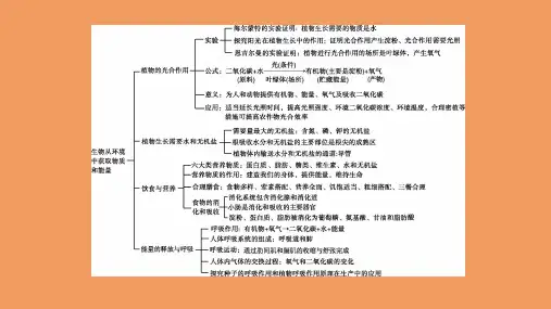 中考生物复习方案第3单元生物从环境中获取物质和能量第03课时绿色植物是有机物的生产者课件