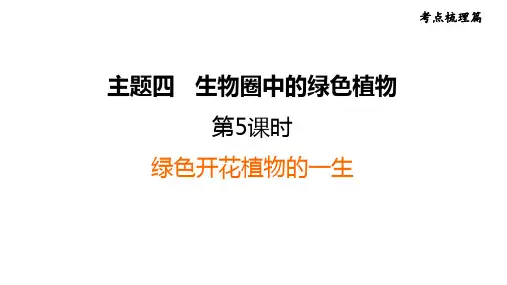 福建省生物中考复习：考点梳理篇第5课时绿色开花植物的一生知识点梳理及练习