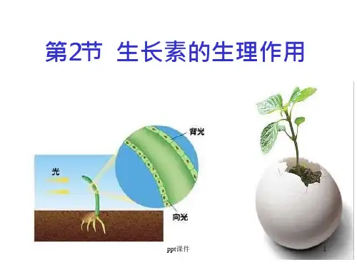 生长素的生理作用课件PPT