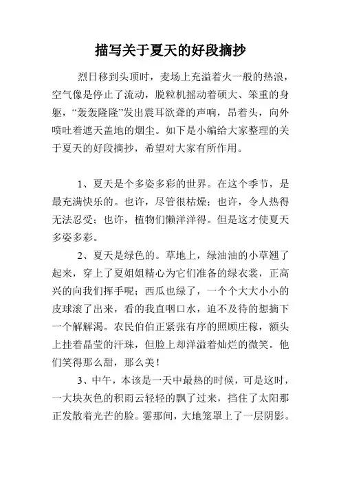 描写关于夏天的好段摘抄