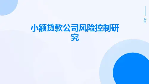小额贷款公司风险控制研究