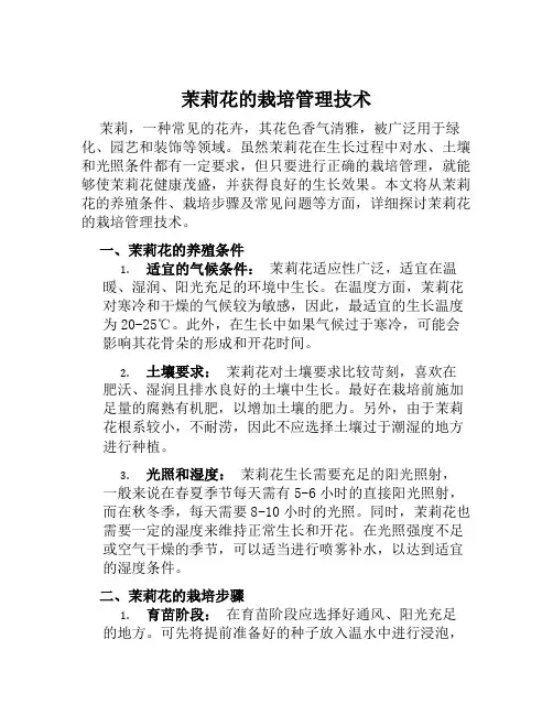 茉莉花的栽培管理技术