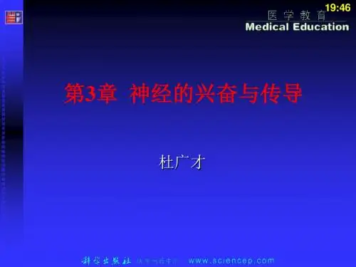 03细胞的生物电现象和兴奋性生理学