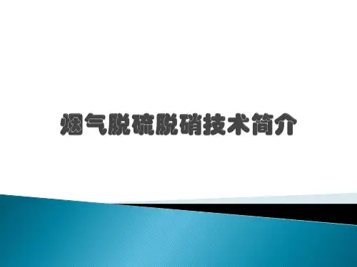 烟气脱硫脱硝演示文稿