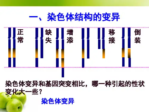 5.2染色体变异课件戚小缨