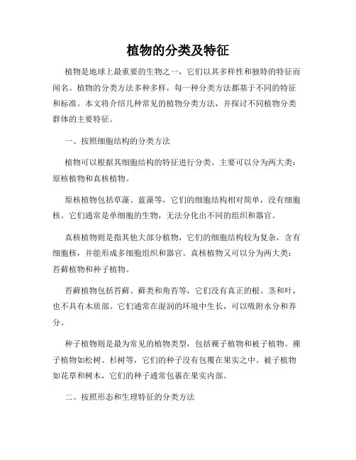 植物的分类及特征