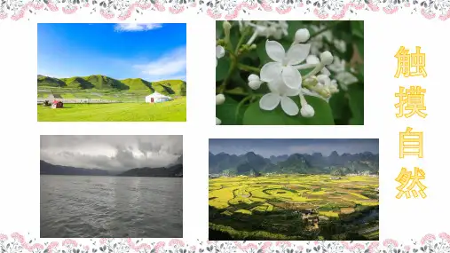 部编版六年级语文上册4《花之歌》课件(共14张PPT)