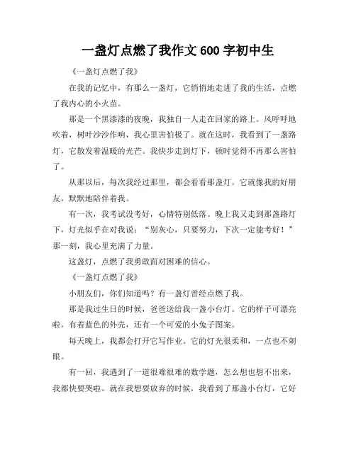 一盏灯点燃了我作文600字初中生