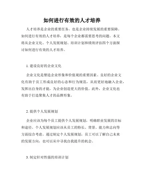 如何进行有效的人才培养