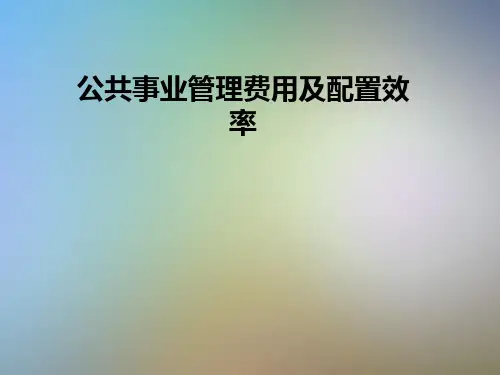 公共事业管理费用及配置效率