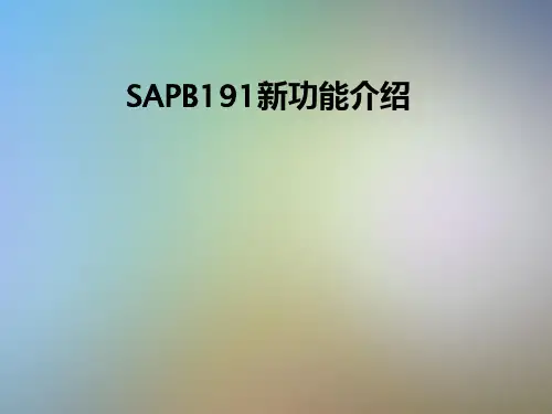 SAPB191新功能介绍