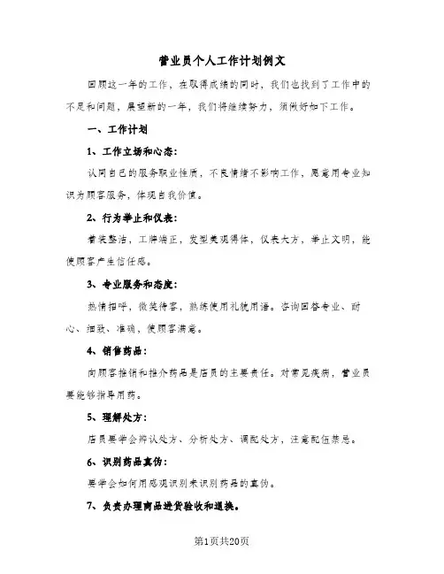 营业员个人工作计划例文(八篇)