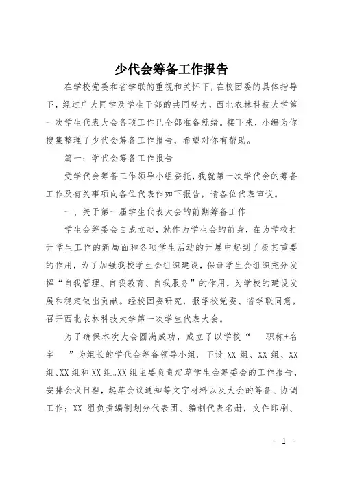 少代会筹备工作报告