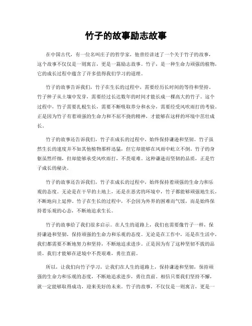 竹子的故事励志故事