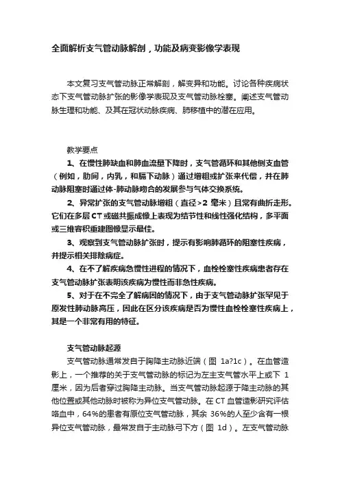 全面解析支气管动脉解剖，功能及病变影像学表现