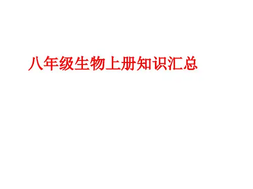 人教版八年级上册生物全册知识汇总(131张ppt)课件(共131张PPT)