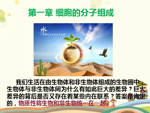 水和无机盐 完整版课件