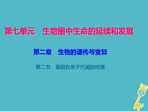 初中生物  八年级生物下册(73份) 人教版20精品课件