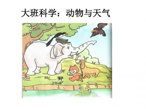 《动物和天气》(幼儿园PPT课件)