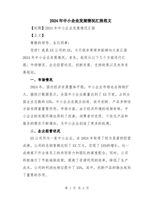 2024年中小企业发展情况汇报范文