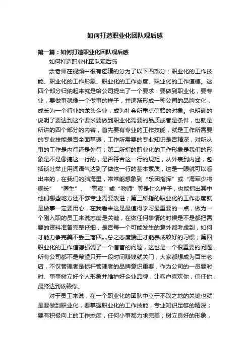 如何打造职业化团队观后感