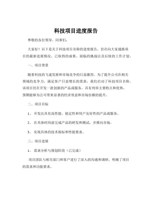 科技项目进度报告