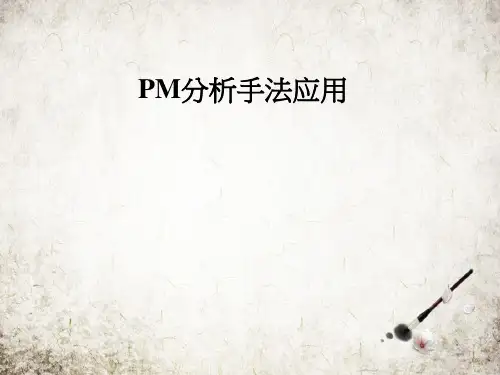 PM分析手法应用