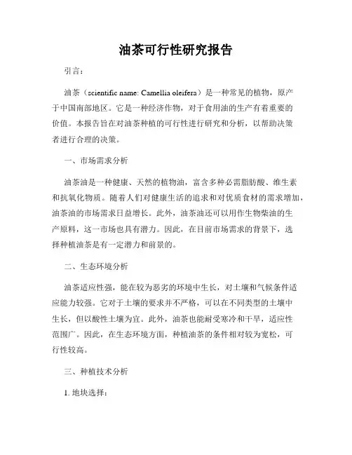 油茶可行性研究报告