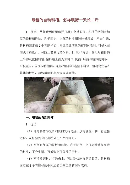 喂猪的自动料槽,怎样喂猪一天长二斤