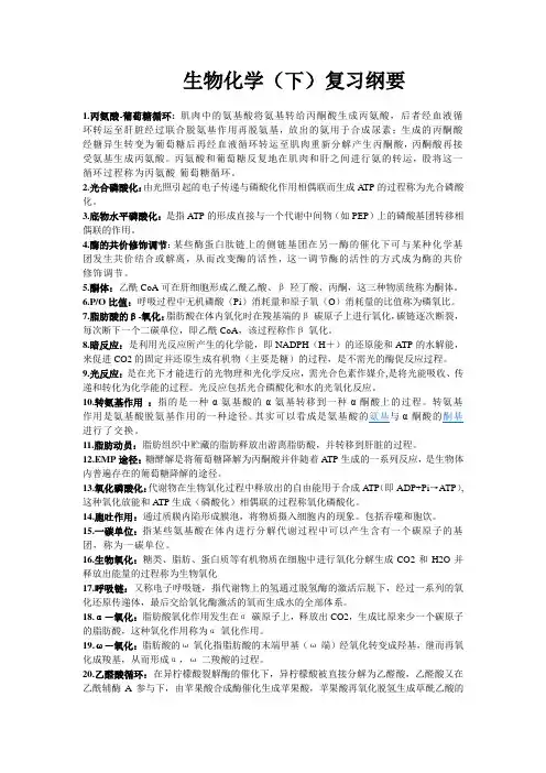 生物化学(王镜岩主编)下册复习纲要