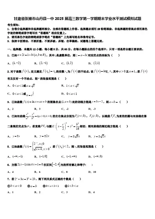 甘肃省张掖市山丹县一中2025届高三数学第一学期期末学业水平测试模拟试题含解析