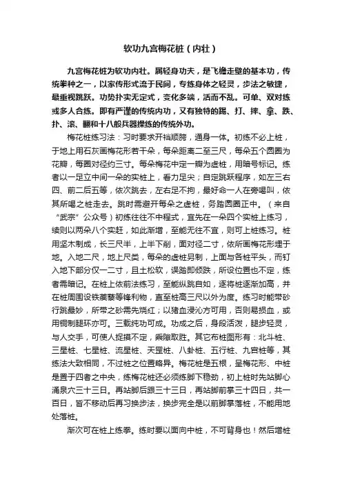 软功九宫梅花桩（内壮）